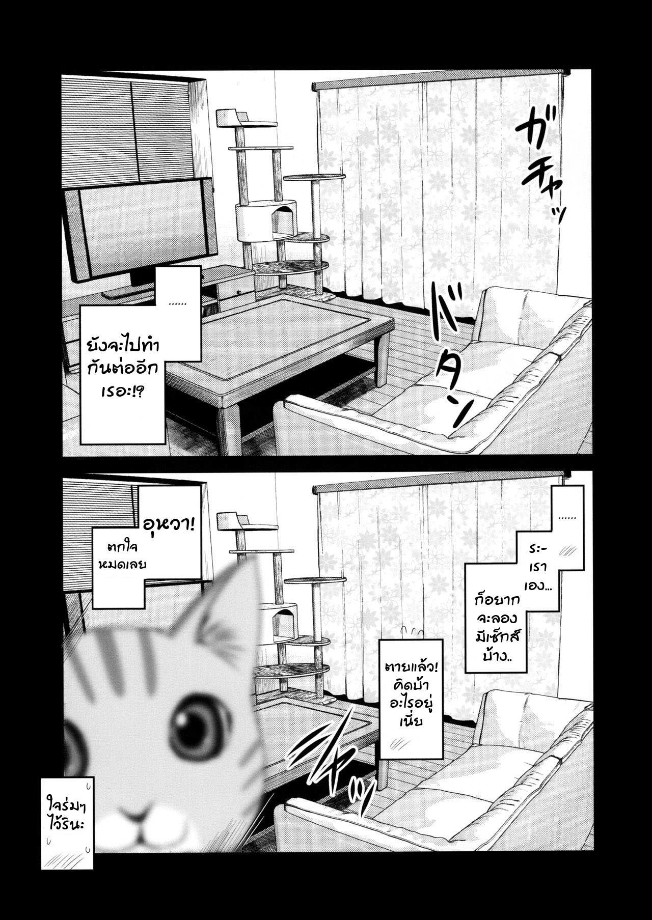 รีวิวกล้องส่องแมว Pet Camera(COMITIA131) [Shin Hijiridou Honpo (24)