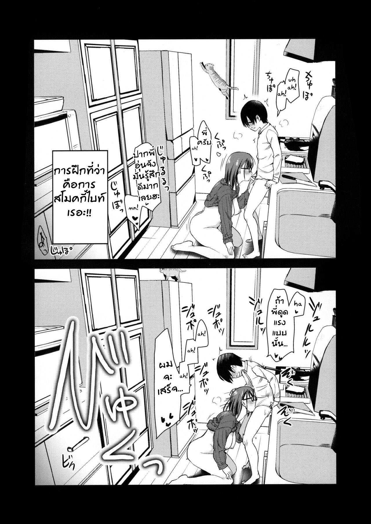 รีวิวกล้องส่องแมว Pet Camera(COMITIA131) [Shin Hijiridou Honpo ( (8)